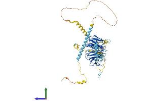 AlphaFold protein structure predicition of Human Recombinant WDR70 Protein, UniprotID Q9NW82 (WDR70 Protein (AA 1-654) (His tag))