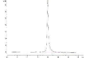 The purity of Mouse IFNAR1/IFN-alpha/beta R1 is greater than 95 % as determined by SEC-HPLC. (IFNA Protein (AA 27-429) (His-Avi Tag))