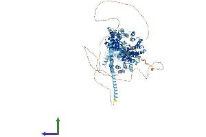 AlphaFold protein structure predicition of Mouse Recombinant Ctr9 Protein, UniprotID Q62018 (CTR9 Protein (AA 1-1173) (His tag))