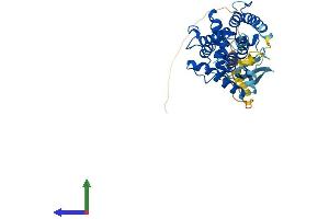 AlphaFold protein structure predicition of Mouse Recombinant Parvb Protein, UniprotID Q9ES46 (Parvin, beta Protein (PARVB) (AA 1-365) (His tag))