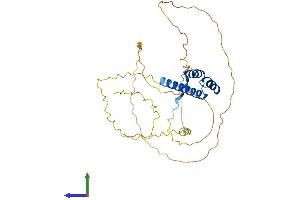 AlphaFold protein structure predicition of Mouse Recombinant Nkx3-2 Protein, UniprotID P97503