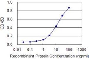 Detection limit for recombinant GST tagged SLC5A3 is 0. (SLC5A3 antibody  (AA 533-641))