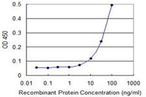 Detection limit for recombinant GST tagged FANCF is 3 ng/ml as a capture antibody. (FANCF antibody  (AA 1-91))