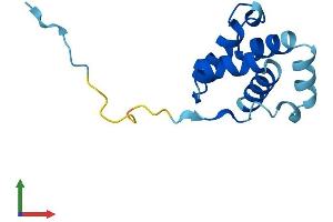 AlphaFold protein structure predicition of Human Recombinant CNFN Protein, UniprotID Q9BYD5 (Cornifelin (CNFN) (AA 1-112) protein (His tag))