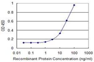 Detection limit for recombinant GST tagged REXO2 is 1 ng/ml as a capture antibody. (REXO2 antibody  (AA 101-210))