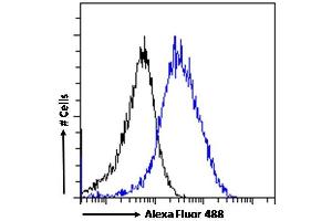 (ABIN185249) Flow cytometric analysis of paraformaldehyde fixed MCF7 cells (blue line), permeabilized with 0. (ALOX5AP antibody  (C-Term))
