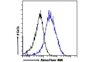 (ABIN185249) Flow cytometric analysis of paraformaldehyde fixed MCF7 cells (blue line), permeabilized with 0.