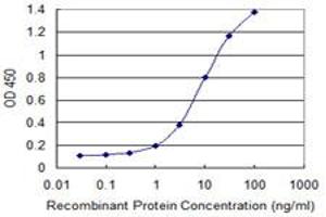 Detection limit for recombinant GST tagged ATF1 is 0. (AFT1 antibody  (AA 1-271))