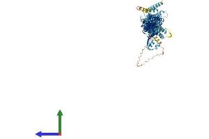 AlphaFold protein structure predicition of Human Recombinant EXOC6B Protein, UniprotID Q9Y2D4 (EXOC6B Protein (AA 1-811) (His tag))