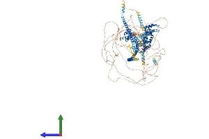 AlphaFold protein structure predicition of Human Recombinant CUX1 Protein, UniprotID P39880