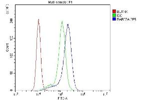 Flow Cytometry analysis of K562 cells using anti-RAB27A antibody (ABIN7602714). (RAB27A antibody  (AA 98-216))