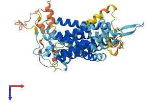 Serine Incorporator 5 (SERINC5) (AA 1-461) protein (His tag)
