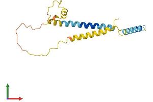 AlphaFold protein structure predicition of Mouse Recombinant Fam162a Protein, UniprotID Q9D6U8 (F162A Protein (AA 1-155) (His tag))