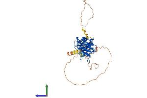 Protein Structure (PS) image for TATA Box Binding Protein Like 2 (Tbpl2) (AA 1-350) protein (His tag) (ABIN7558105)
