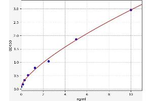 Typical standard curve (Retinoblastoma 1 ELISA Kit)