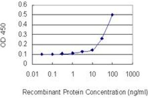 Detection limit for recombinant GST tagged BCL2L2 is 10 ng/ml as a capture antibody. (BCL2L2 antibody  (AA 1-193))