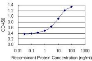 Detection limit for recombinant GST tagged CRTC1 is 0. (CRTC1 antibody  (AA 553-634))