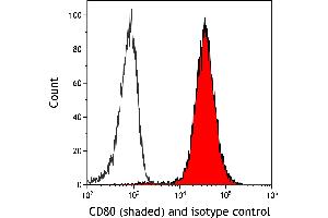 Flow Cytometry (FACS) image for anti-CD80 (CD80) (AA 35-246) antibody (ABIN7449415)