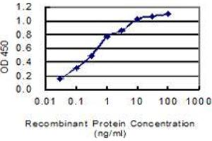 Detection limit for recombinant GST tagged MAST4 is 0. (MAST4 antibody  (AA 2605-2699))