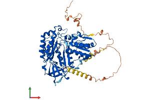 Protein Structure (PS) image for CDK5 Regulatory Subunit Associated Protein 1-Like 1 (CDKAL1) (AA 1-579) protein (His tag) (ABIN7553339)
