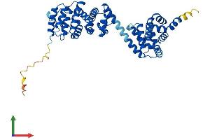 Protein Structure (PS) image for Basic Leucine Zipper and W2 Domains 2 (BZW2) (AA 1-419) protein (His tag) (ABIN7559992)