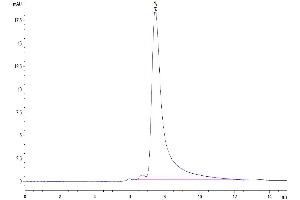 The purity of Human CD98 is greater than 95 % as determined by SEC-HPLC. (SLC3A2 Protein (AA 206-630) (His tag))