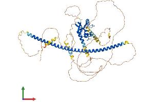 Protein Structure (PS) image for Dachshund 2 (DACH2) (AA 1-634) protein (His tag) (ABIN7564870)