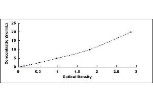 Typical standard curve
