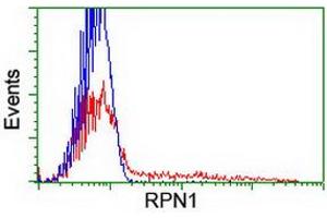 HEK293T cells transfected with either RC201554 overexpress plasmid (Red) or empty vector control plasmid (Blue) were immunostained by anti-RPN1 antibody (ABIN2455103), and then analyzed by flow cytometry. (RPN1 antibody)