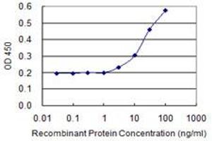 Detection limit for recombinant GST tagged HOMER1 is 1 ng/ml as a capture antibody. (HOMER1 antibody  (AA 1-354))