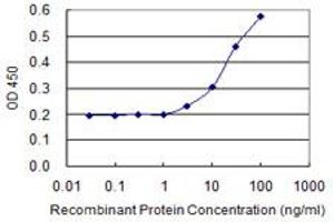 Detection limit for recombinant GST tagged HOMER1 is 1 ng/ml as a capture antibody. (HOMER1 antibody  (AA 1-354))