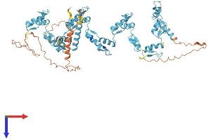 Protein Structure (PS) image for Zinc Finger Protein 555 (ZNF555) (AA 1-628) protein (His tag) (ABIN7545336)