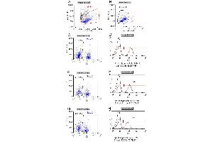 Flow-cytometric analysis of the dose-dependency (D, F, H) of anti-hCD3e antibody binding to live human PBMCs (B). (Recombinant CD3 epsilon antibody)