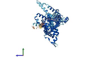 AlphaFold protein structure predicition of Mouse Recombinant Slc26a11 Protein, UniprotID Q80ZD3