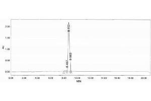 Image no. 1 for Engrailed Homeobox 2 (EN2) peptide (Ovalbumin) (ABIN5666162) (Engrailed Homeobox 2 (EN2) peptide (Ovalbumin))