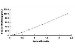 ELISA image for Thrombomodulin (THBD) ELISA Kit (ABIN416633)
