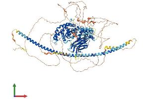 Protein Structure (PS) image for DAB2 Interacting Protein (DAB2IP) (AA 1-1189) protein (His tag) (ABIN7563715)