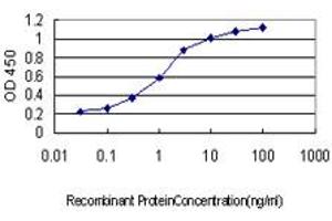 Detection limit for recombinant GST tagged CDC25A is approximately 0. (CDC25A antibody  (AA 151-250))