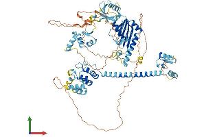AlphaFold protein structure predicition of Mouse Recombinant Ankzf1 Protein, UniprotID Q80UU1 (ANKZF1 Protein (AA 1-748) (His tag))