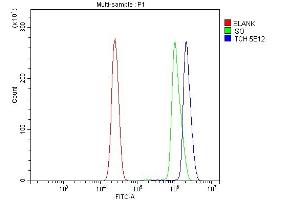 Flow Cytometry analysis of U937 cells using anti-ITCH/AIP4 antibody (ABIN7600263). (ITCH antibody  (AA 17-358))