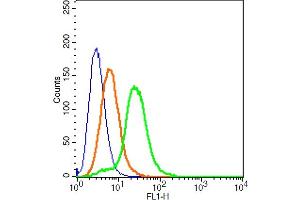 Flow Cytometry (FACS) image for anti-Melanocortin 4 Receptor (MC4R) (AA 1-50) antibody (AbBy Fluor® 488) (ABIN1391152)