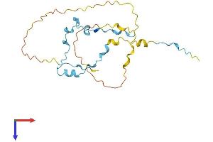 AlphaFold protein structure predicition of Human Recombinant PTTG3P Protein, UniprotID Q9NZH4 (PTTG3P Protein (AA 1-202) (His tag))