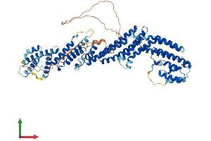 AlphaFold protein structure predicition of Mouse Recombinant Tnfaip2 Protein, UniprotID Q61333