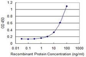 Detection limit for recombinant GST tagged ZNF232 is 1 ng/ml as a capture antibody. (ZNF232 antibody  (AA 181-280))