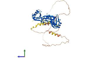 AlphaFold protein structure predicition of Mouse Recombinant Celf3 Protein, UniprotID Q8CIN6
