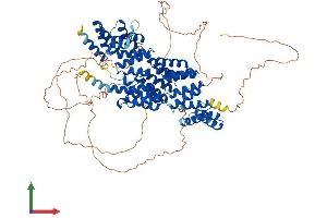 AlphaFold protein structure predicition of Mouse Recombinant Cdc27 Protein, UniprotID A2A6Q5
