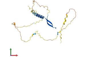 AlphaFold protein structure predicition of Mouse Recombinant Bcl7b Protein, UniprotID Q921K9 (BCL7B Protein (AA 1-202) (His tag))
