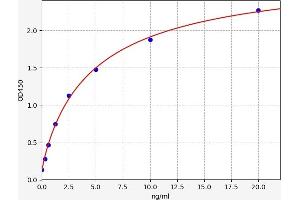 COX5A ELISA Kit