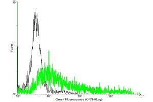 FACS analysis of negative control 293 cells (Black) and MPL expressing 293 cells (Green) using MPL purified MaxPab mouse polyclonal antibody. (MPL antibody  (AA 1-635))