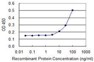 Detection limit for recombinant GST tagged PPM1A is 3 ng/ml as a capture antibody. (PPM1A antibody  (AA 1-382))